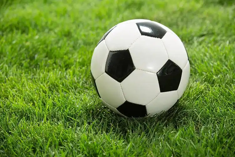 足彩奖金计算使用流程图示